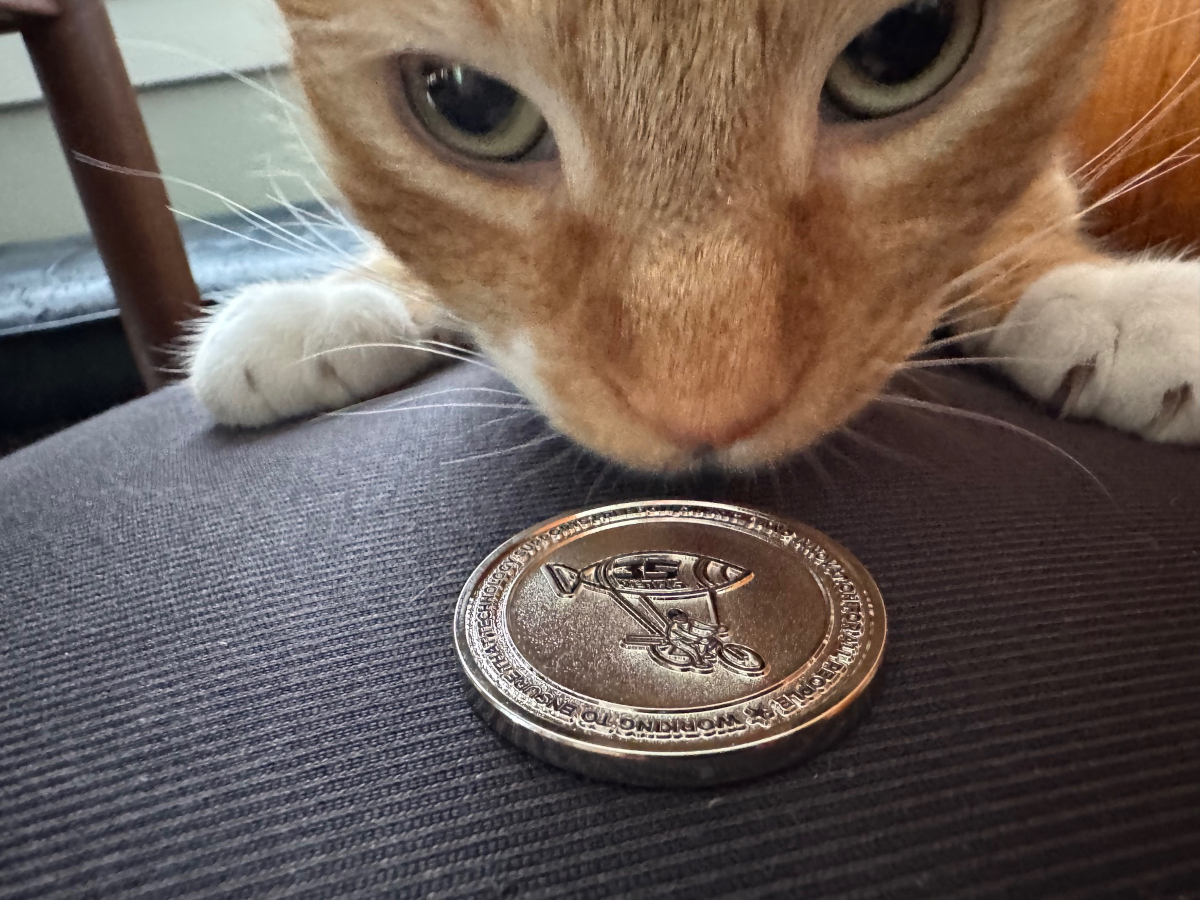 EFF35 Challenge Coin for monthly & annual donors (kitty not included). Orange cat inspecting EFF 35th Anniversary Challenge Coin